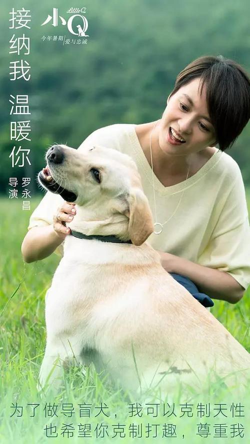 中国银行TM转账凭条模板/图片